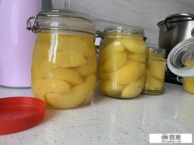 怎样做黄桃罐头？
