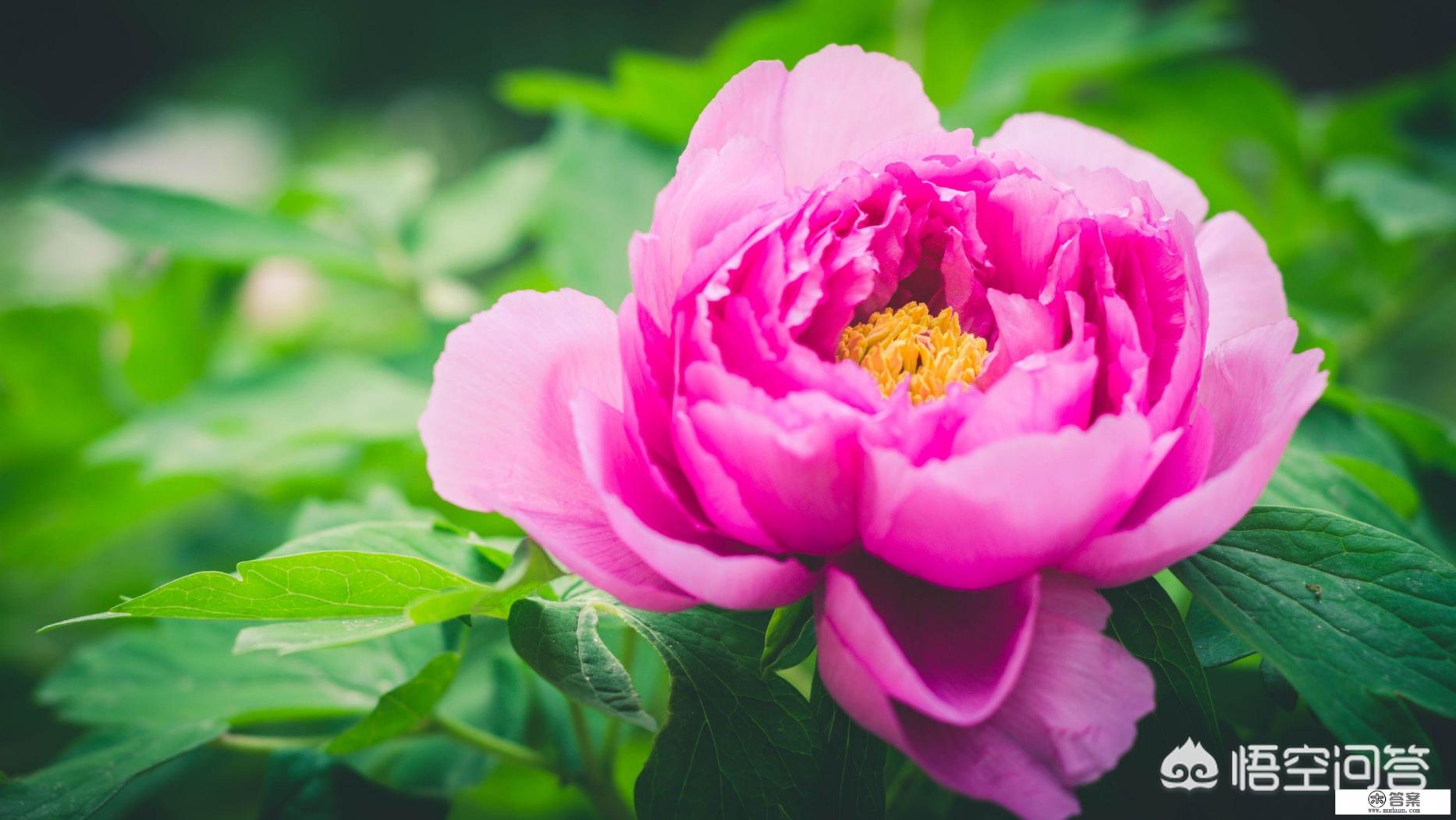 武汉园林式小区评选标准？