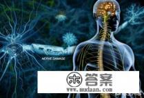 什么是多发性硬化？