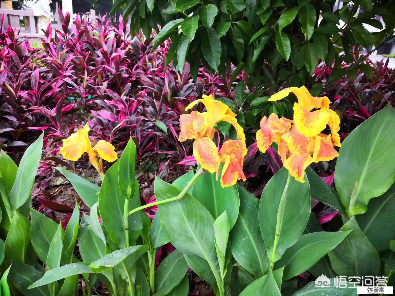 十大耐用手机排行榜华为？