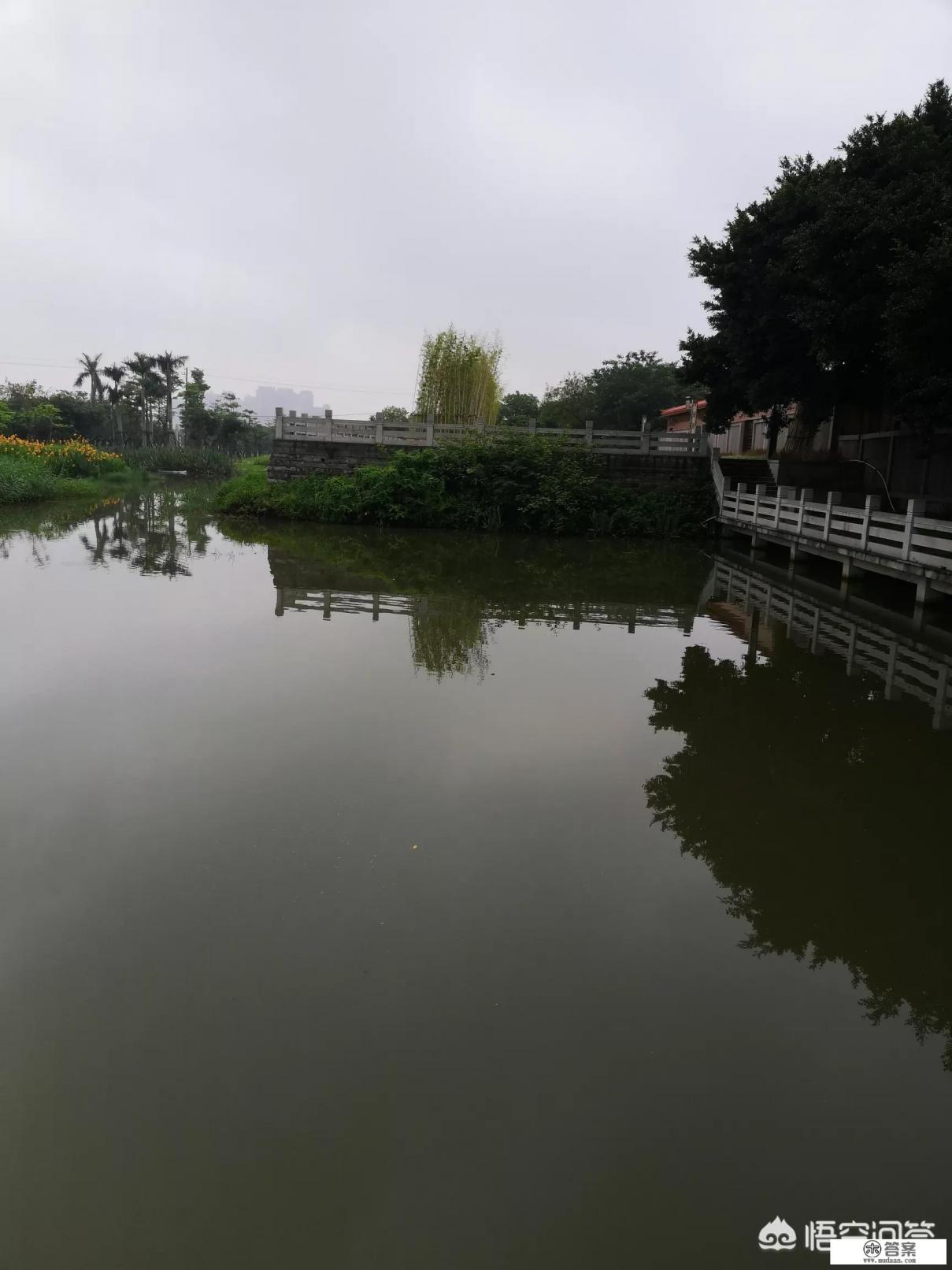 十大耐用手机排行榜华为？