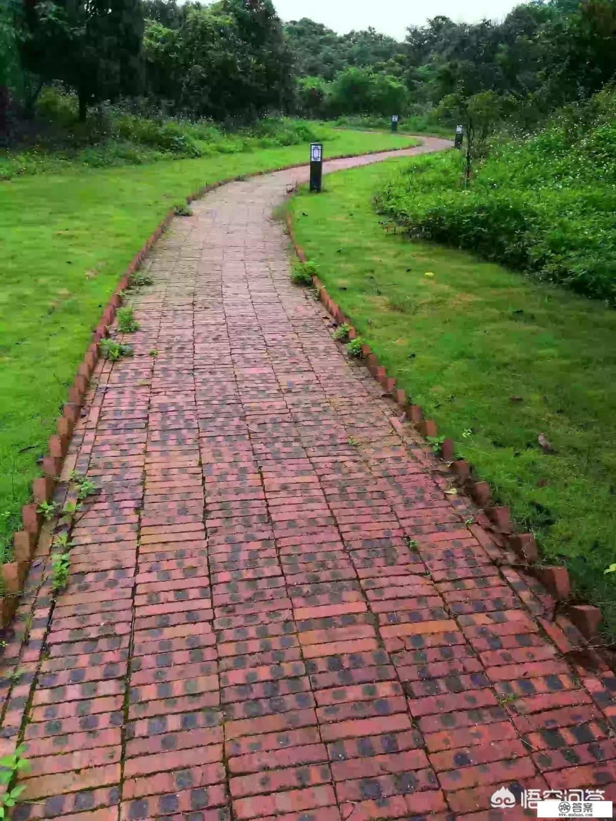 十大耐用手机排行榜华为？