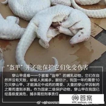 这次武汉爆发的新型冠状病毒来源是哪里? 这次武汉爆发的新型冠状病毒来源是哪里?