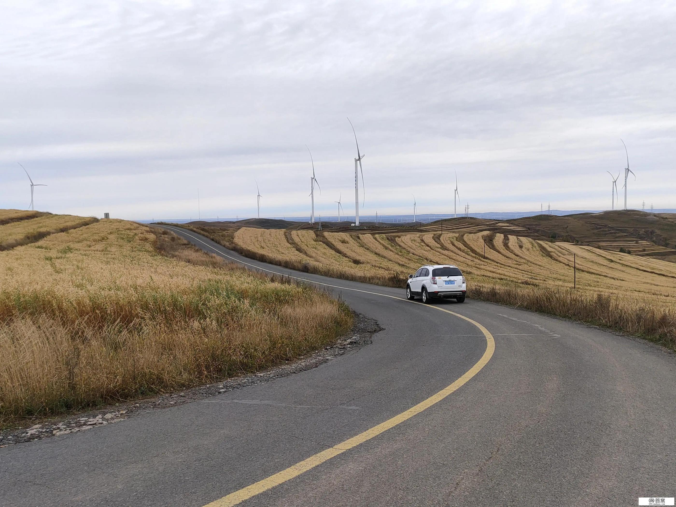 如果出去旅游，自驾游有什么利弊？