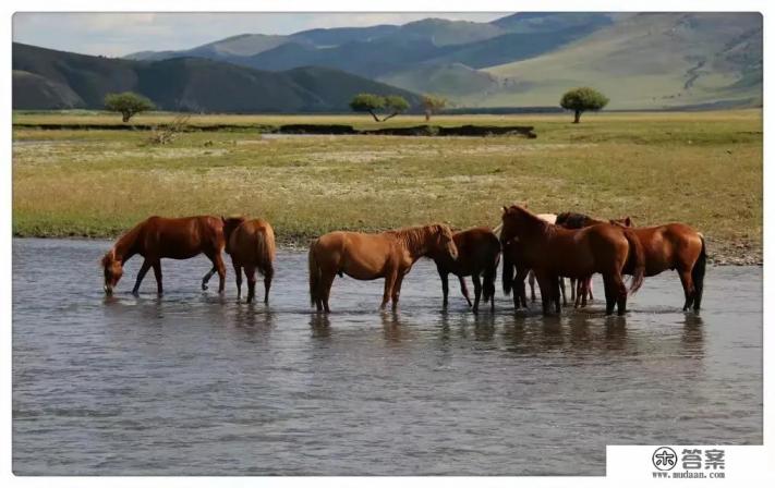 如果出去旅游，自驾游有什么利弊？