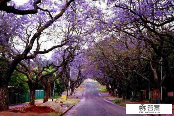 非洲旅游胜地有哪些？