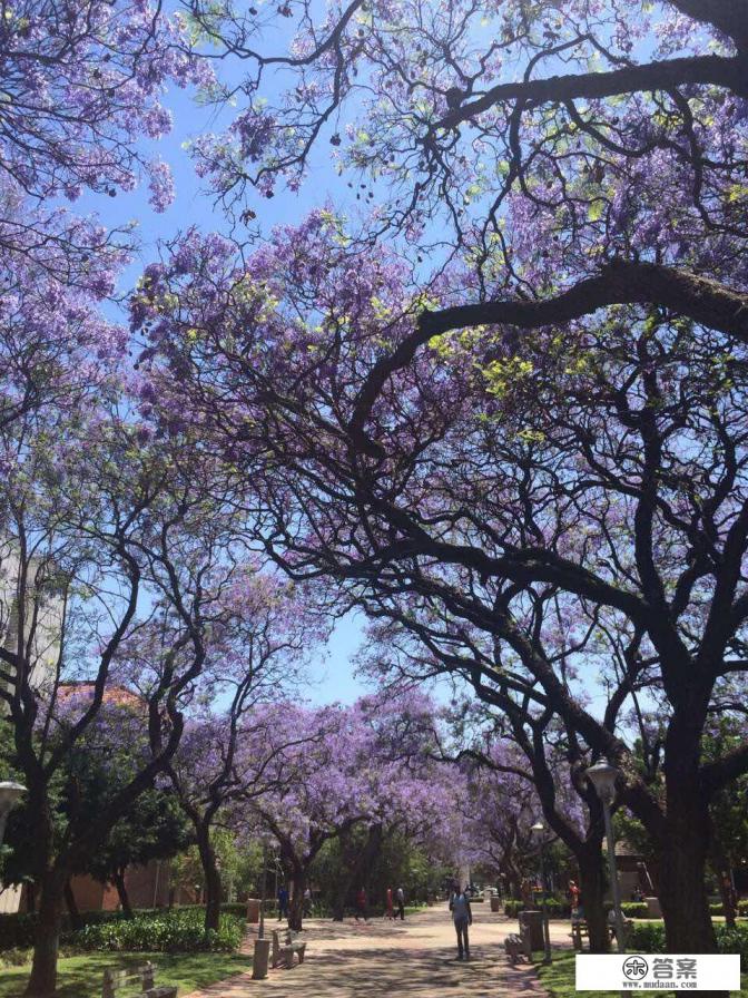 非洲旅游胜地有哪些？