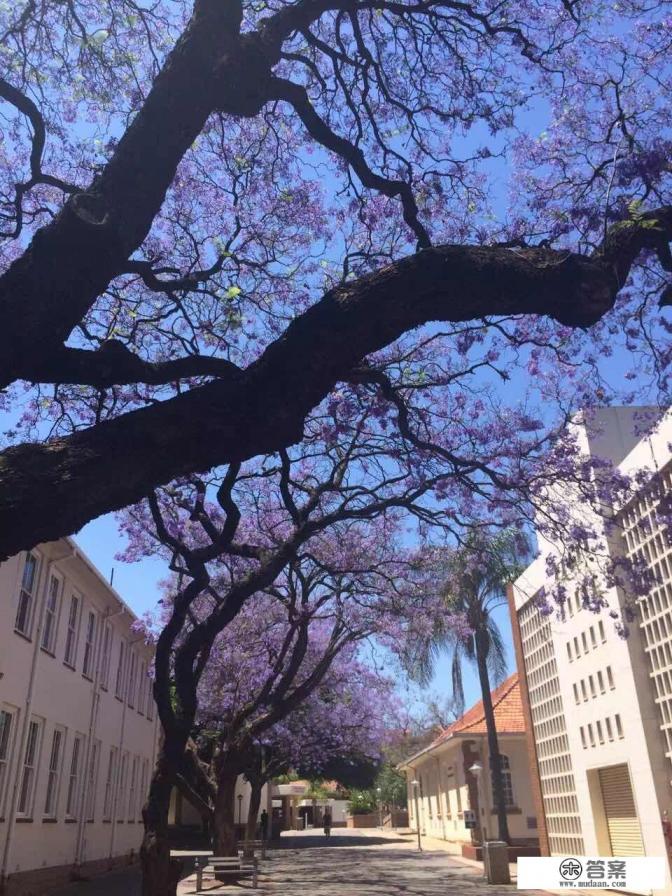 非洲旅游胜地有哪些？