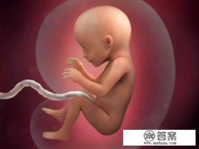 怀孕四个月，宝宝有怎样的变化？