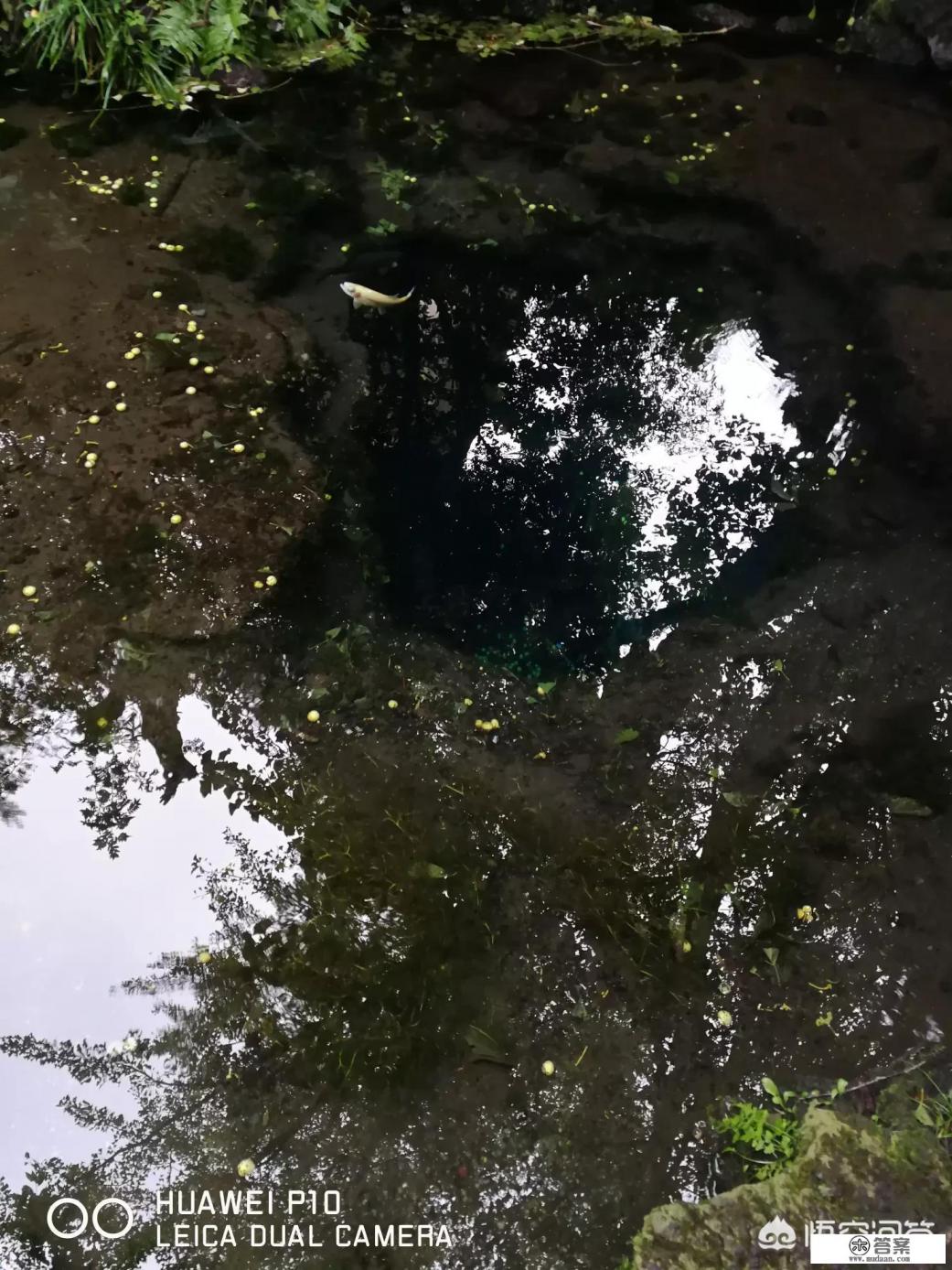 中国人2018年赴日人数将至800万，你怎么看？