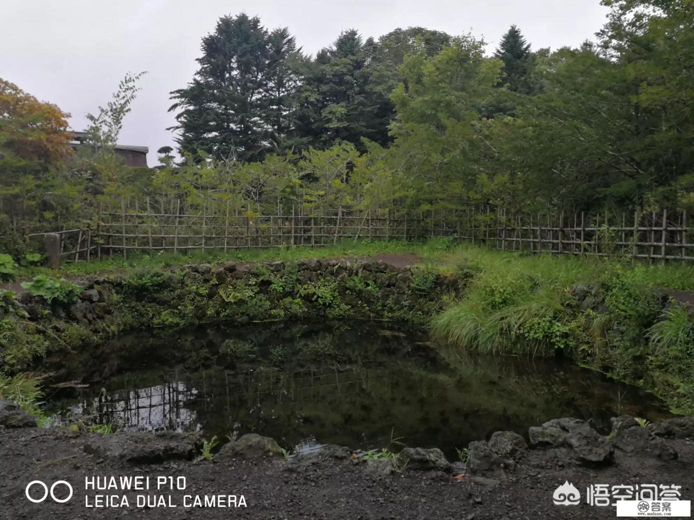 中国人2018年赴日人数将至800万，你怎么看？