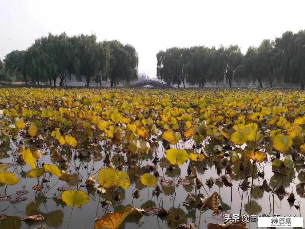 石家庄鹿泉有什么好玩的景点？