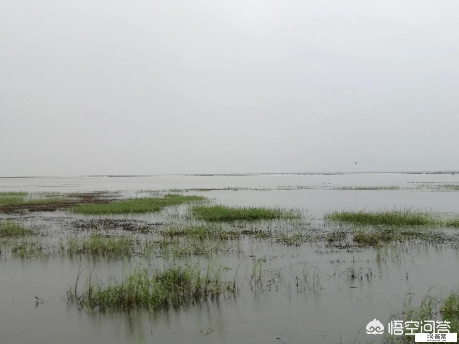 为什么一直在说旅游不文明现象，还有人再一而再的触犯，真是素质问题吗？