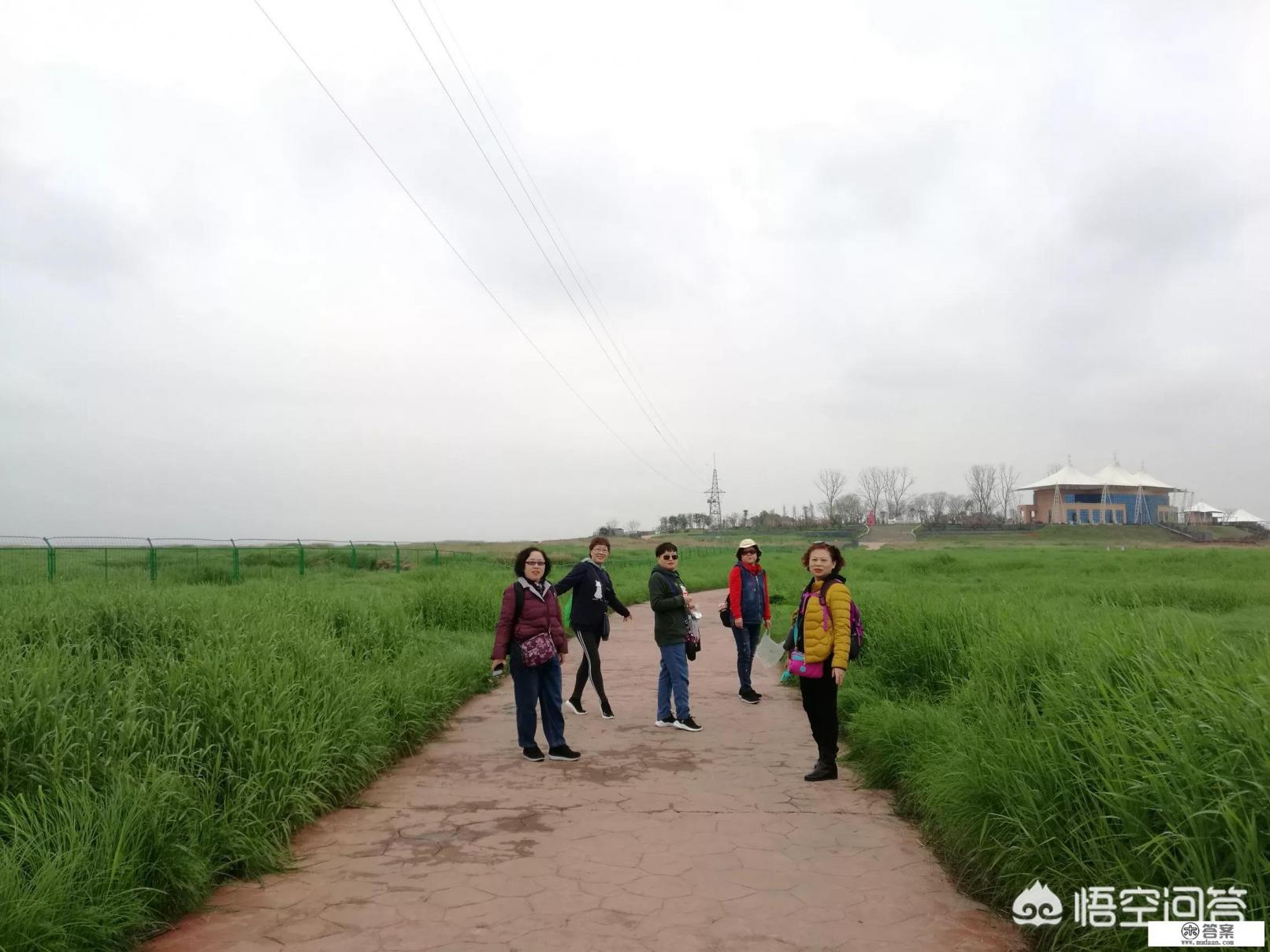 为什么一直在说旅游不文明现象，还有人再一而再的触犯，真是素质问题吗？