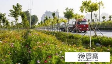 辛集旅游景点有什么? 辛集旅游景点有什么?