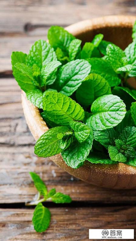 为什么有的女人不做家务，不做夸张美甲、不喷香水、不打扮，整天邋邋遢遢？