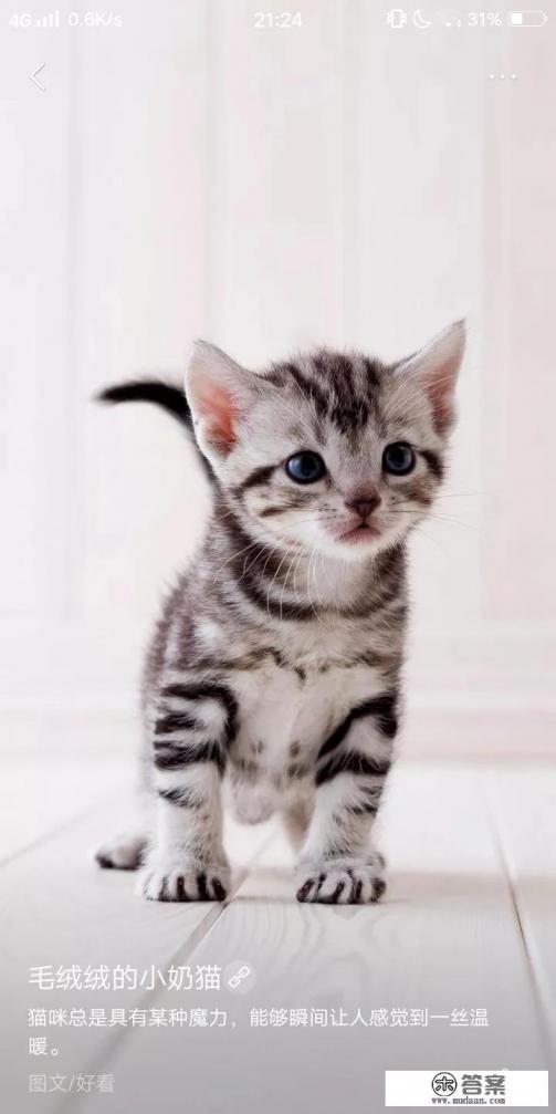 十二岁的女孩就有喜欢的人了，正常吗？