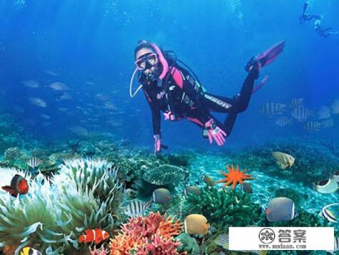 三亚游4天3夜,自助游? 三亚游4天3夜,自助游?