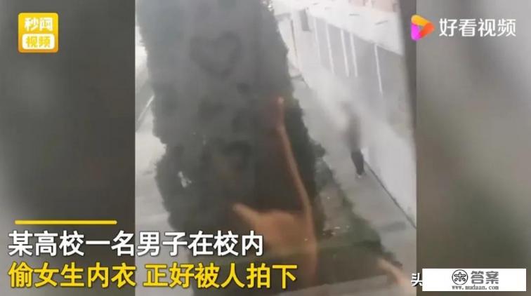 如何看待山东一男子连续三天爬高校女生宿舍防盗网偷内衣？