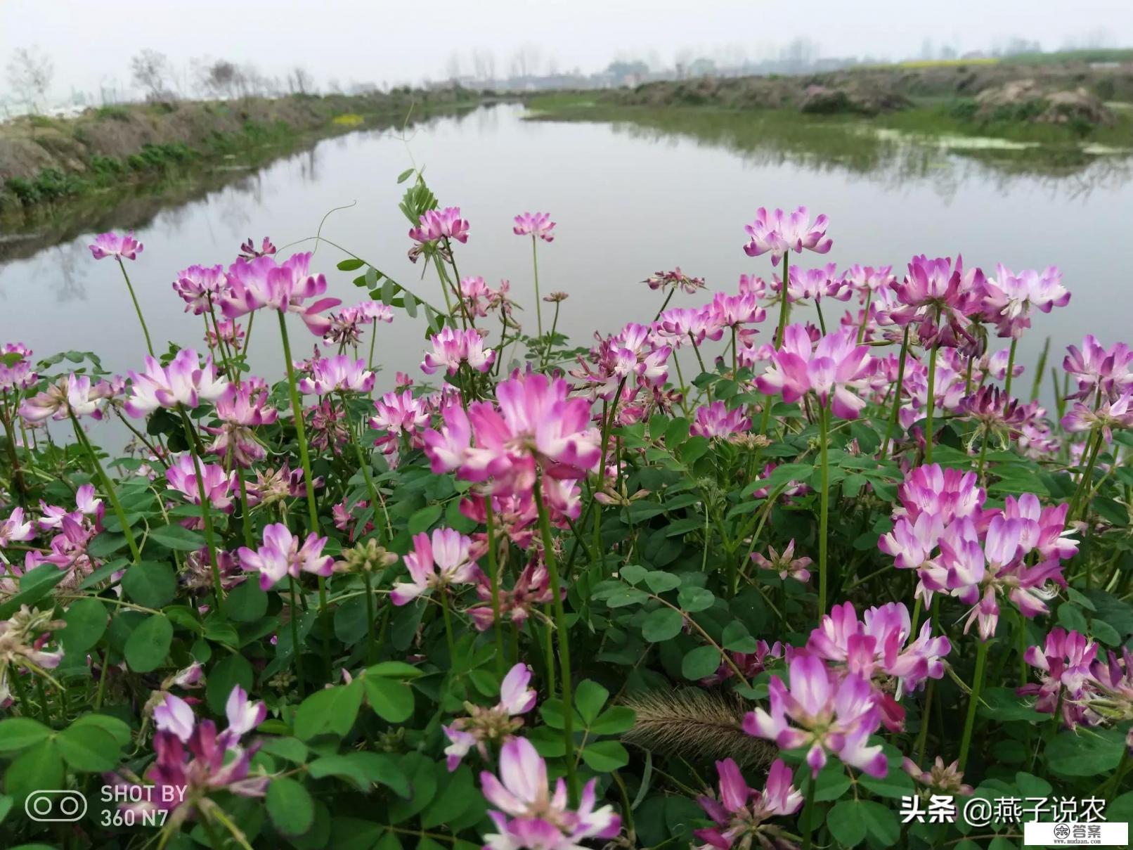 你认为这次的新冠病毒真的是吃蝙蝠导致的吗？