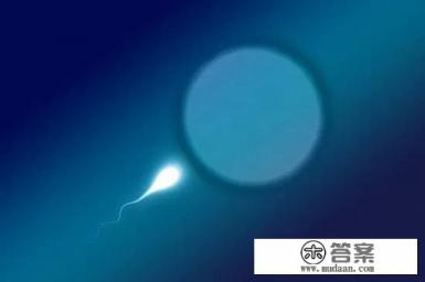 试管婴儿一共要花多少钱? 试管婴儿一共要花多少钱?