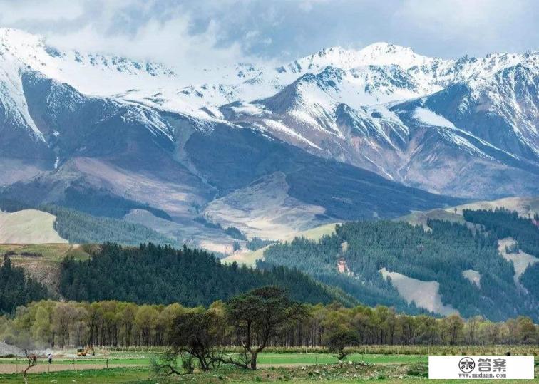 河西走廊怎么划分的？