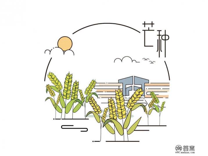 今日芒种，有啥习俗，吃点啥好，如何养生？