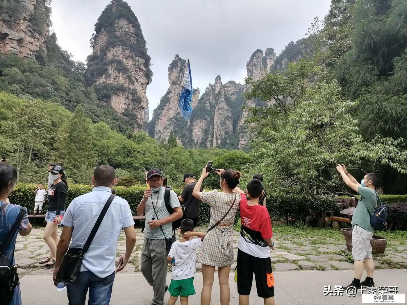 第一次去张家界,是自由行,还是跟当地团呢? 第一次去张家界,是自由行,还是跟当地团呢?