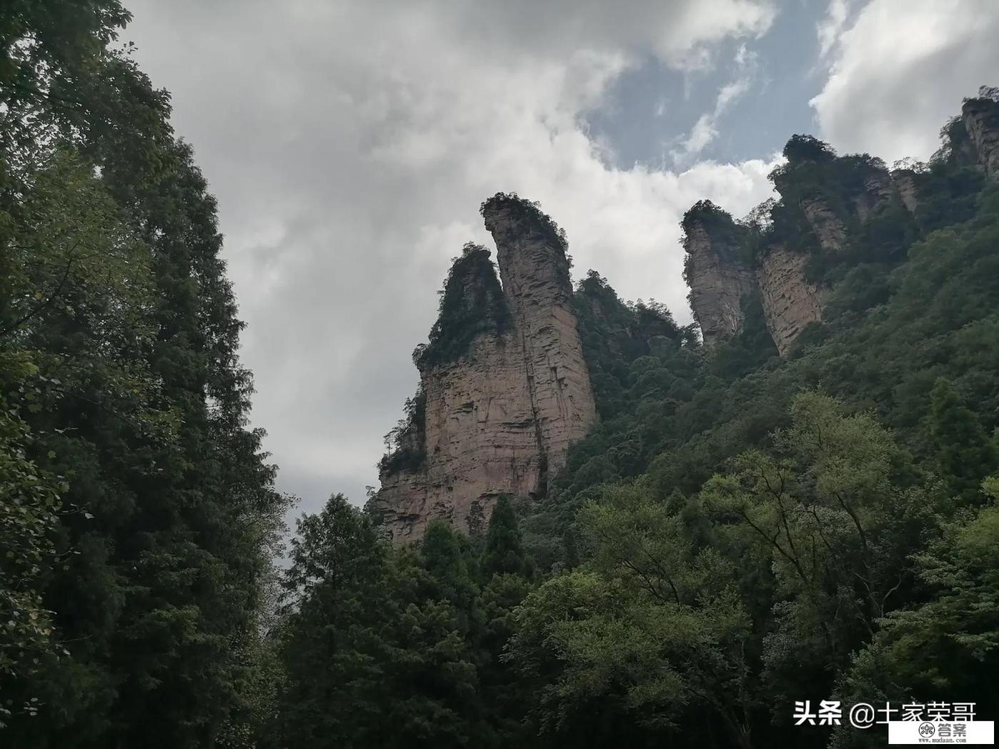 第一次去张家界,是自由行,还是跟当地团呢? 第一次去张家界,是自由行,还是跟当地团呢?