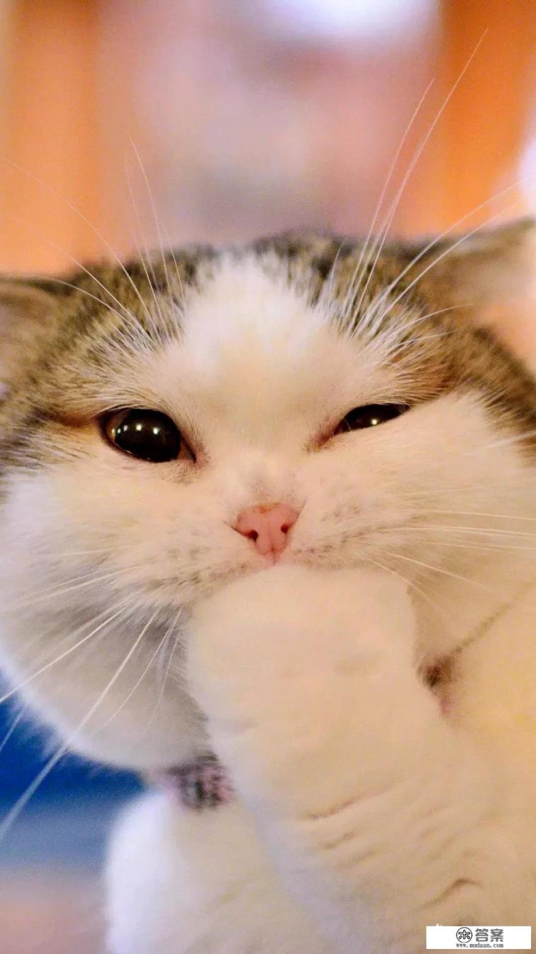 危难关头，曾经信誓旦旦要帮助你的人，都实现自己诺言了吗？