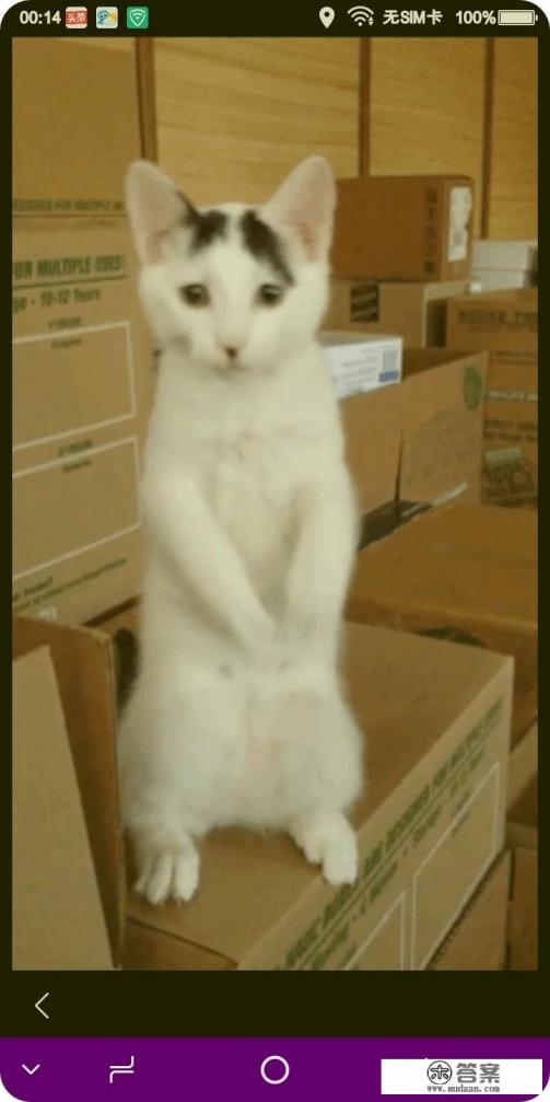 危难关头，曾经信誓旦旦要帮助你的人，都实现自己诺言了吗？