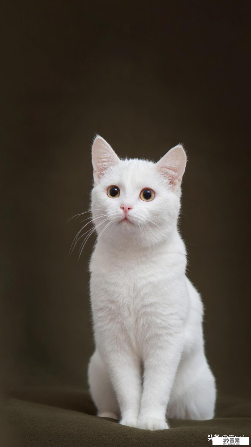 男主对女主一见钟情，而女主不喜欢男主，男主逼女主嫁给他!的小说？