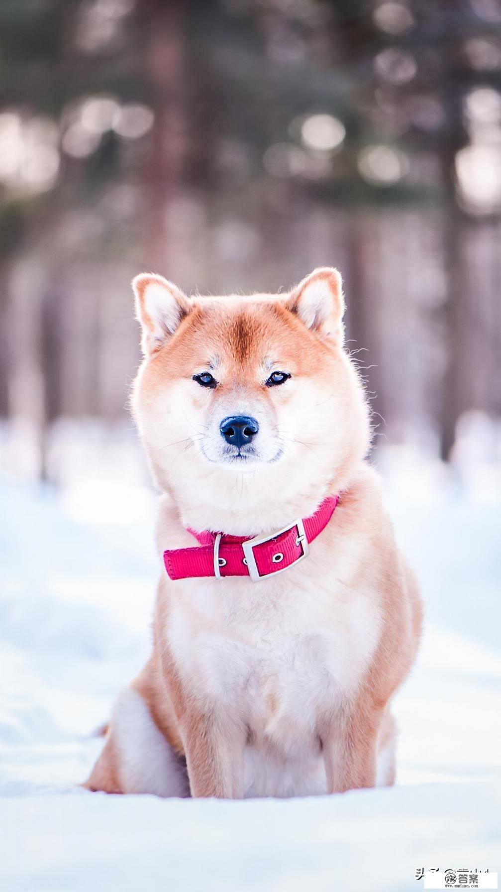 男主对女主一见钟情，而女主不喜欢男主，男主逼女主嫁给他!的小说？