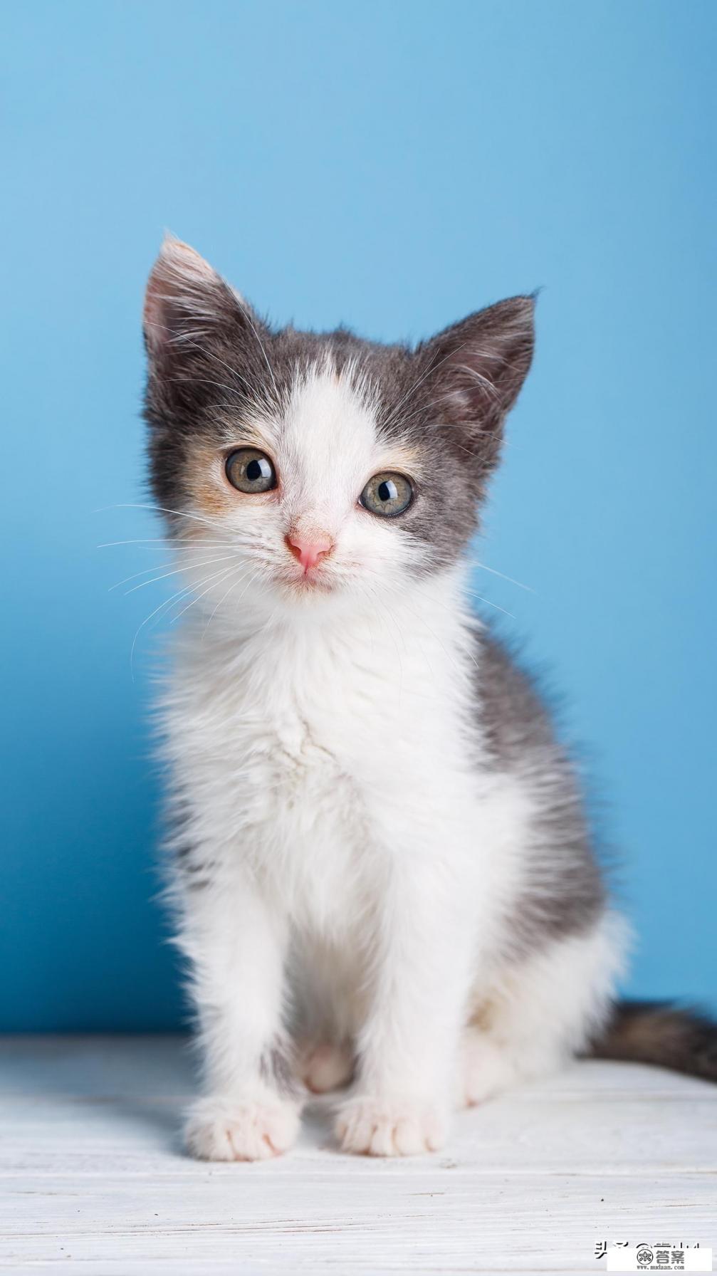 男主对女主一见钟情，而女主不喜欢男主，男主逼女主嫁给他!的小说？