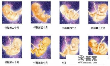 10月怀胎对不对？