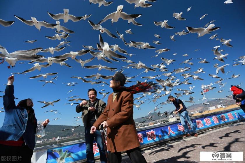 带娃在昆明过春节,有哪些地方又好玩又便宜? 带娃在昆明过春节,有哪些地方又好玩又便宜?