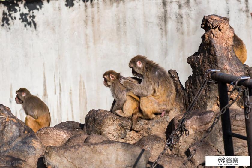 带娃在昆明过春节,有哪些地方又好玩又便宜? 带娃在昆明过春节,有哪些地方又好玩又便宜?