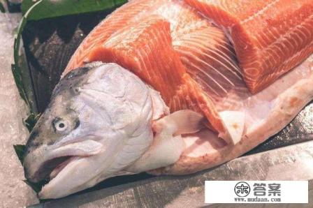 三文鱼没有肺，怎么会感染新冠肺炎病毒的？