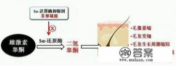 姥爷秃顶我会遗传吗？