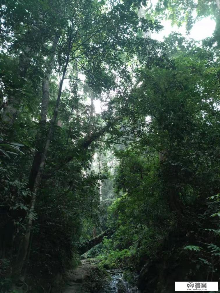 现在这个季节去哪个地方旅游最好？哪个景区四季如春？