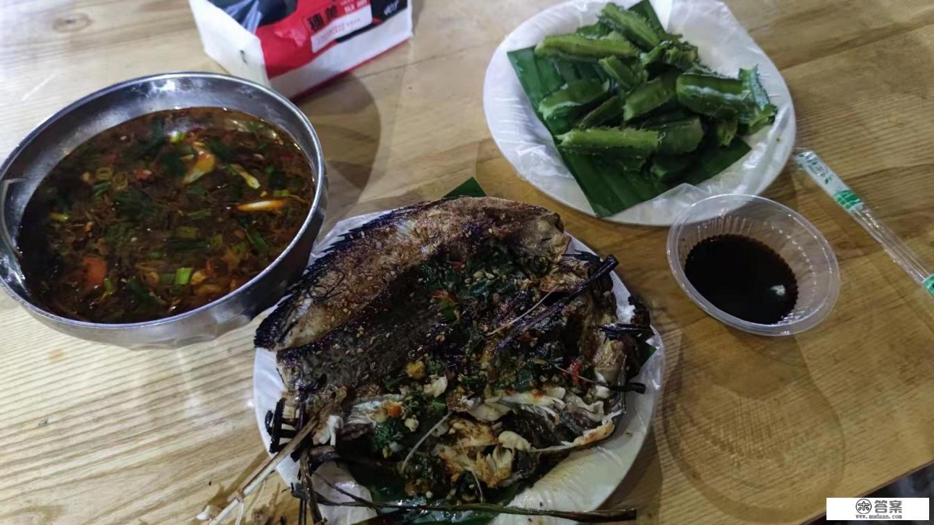 现在这个季节去哪个地方旅游最好？哪个景区四季如春？