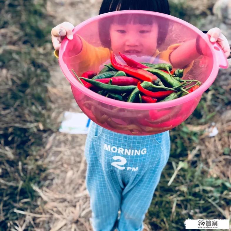 大理丽江比较知名的民宿有吗？