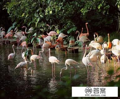 现在广州去华山旅游大概需要多少钱?详细标注各项消费!两个人去! 华山的各项旅游消费! 注意事项？