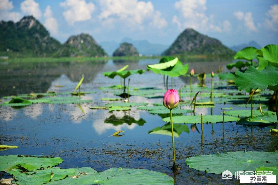 7-8月份广西旅游最佳地方？