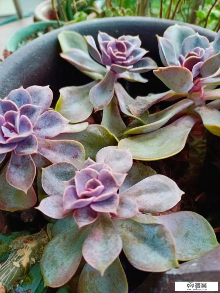 春节假期可以进北京游玩吗？