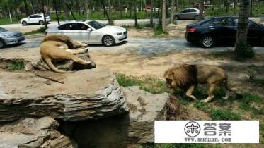 异地老年卡乘车有效吗？