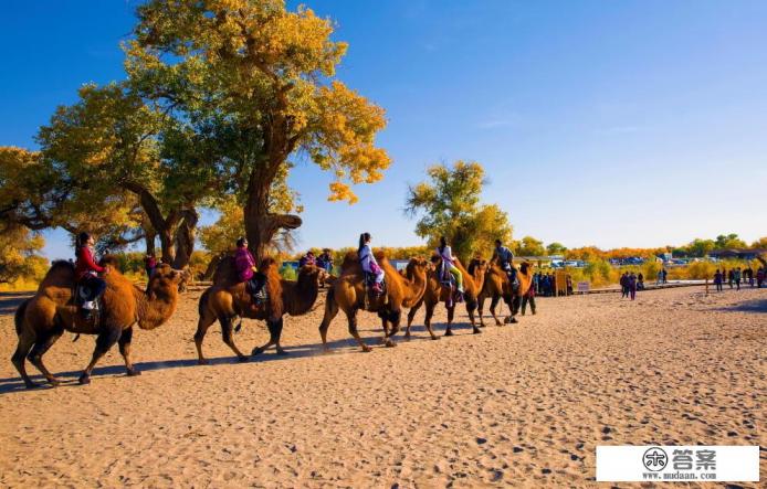 这次成都的疫情可不可怕？我们还能正常去成都旅游吗？