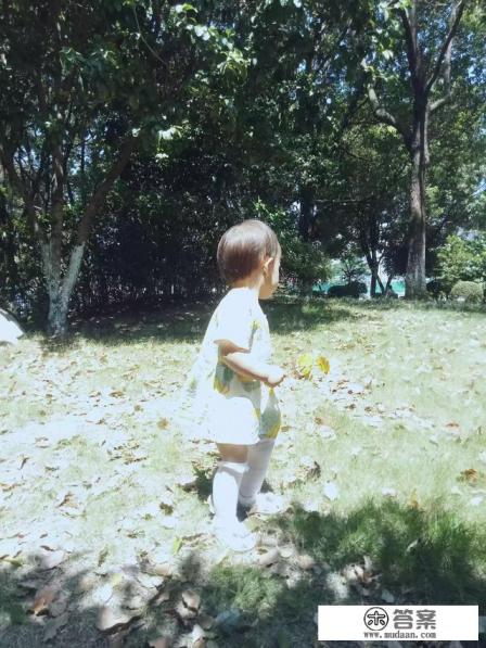 小步早教有没有必要买？