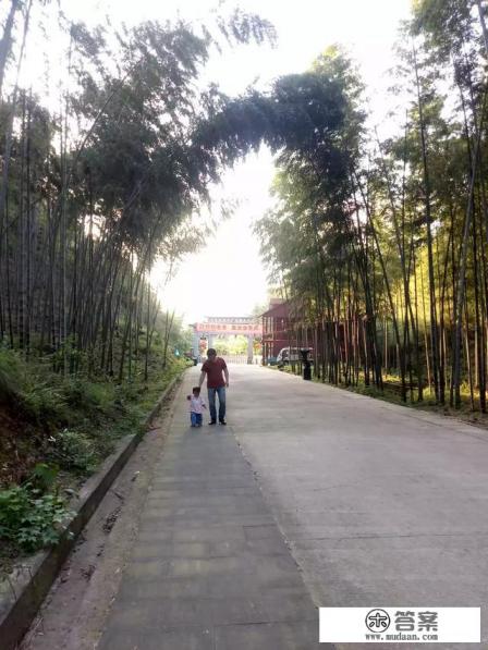 小步早教有没有必要买？