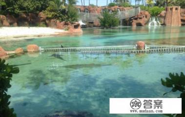 到巴哈马蜜月旅游，该如何规划行程？